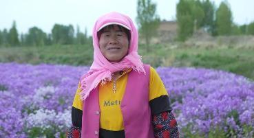 对曙光村的"紫花仙女" 许彩云来说,节水项目为她的紫花草园带来新生机