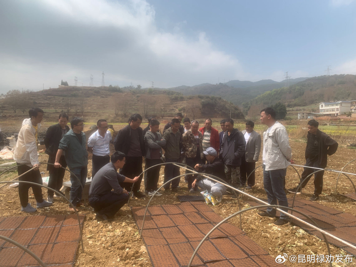 禄劝:人勤春来早 春耕生产忙|禄劝_新浪新闻