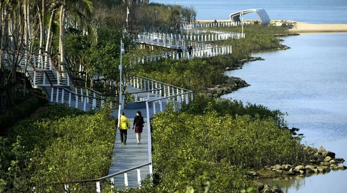 这是一篇很 "水04" 的文章|海南|海口|美舍河_新浪新闻