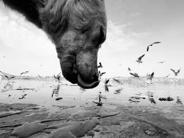 视觉张力捕捉一切巧合有艺思