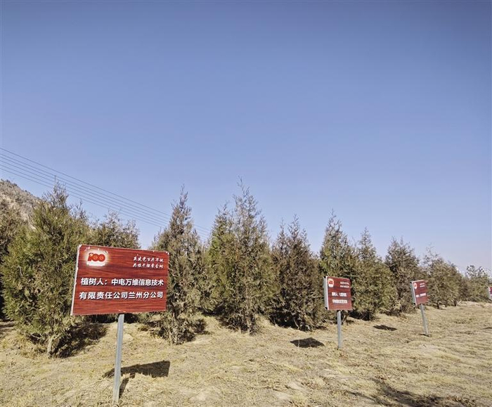 2024年兰州晚报"青山埋忠骨 播绿护忠魂""云植树"活动报名小程序顺利