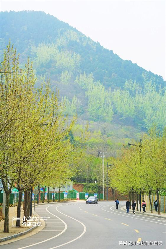 西安秦岭"国民级"徒步线路,景美好玩人不累,公交可达|秦岭|西安市