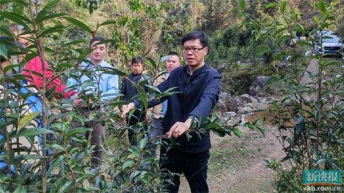 通过现场察看,听取汇报和深入交流,全面了解了茶旅融合的现状与前景