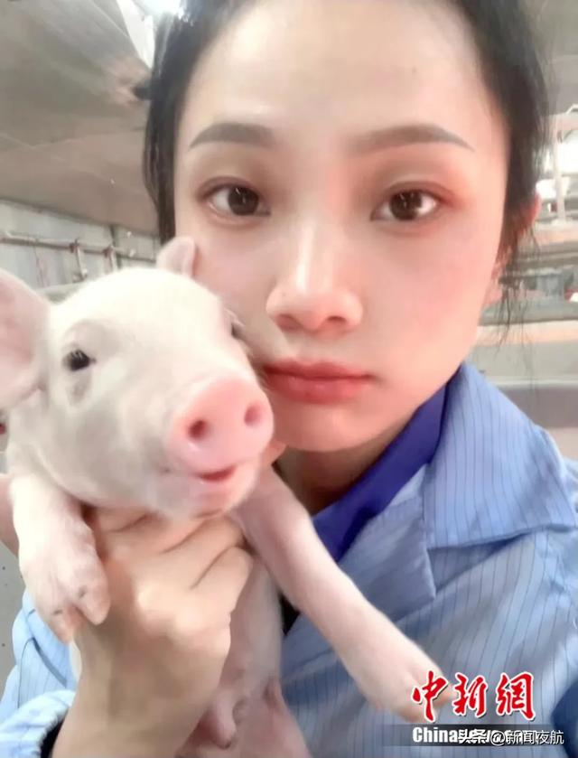 "95后"当"猪保姆"?网友:这工作太爽了!|养殖场|截图|饲养员_新浪新闻
