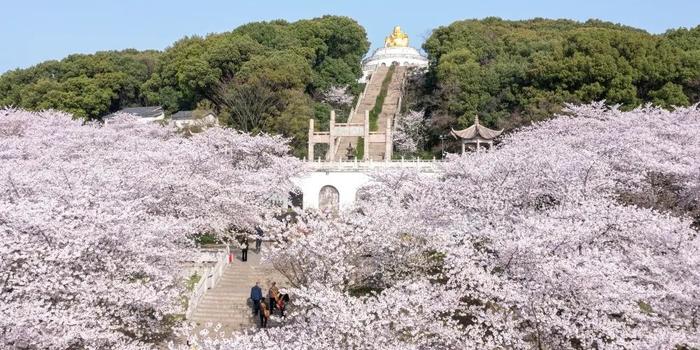 上方山百花节的介绍图片