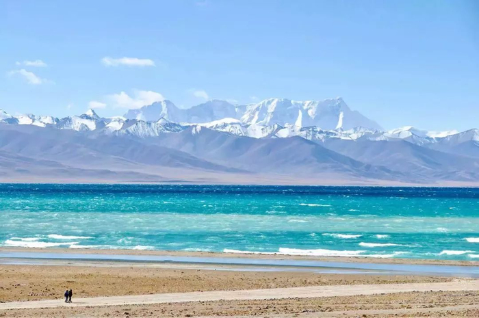 高原青柳见证援藏干部的接力奉献