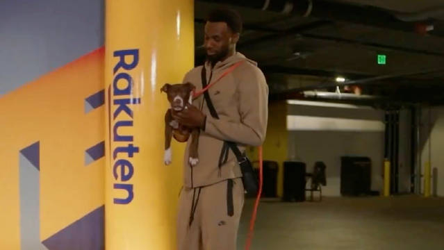 勇士球员领着当地收养中心的小狗出场