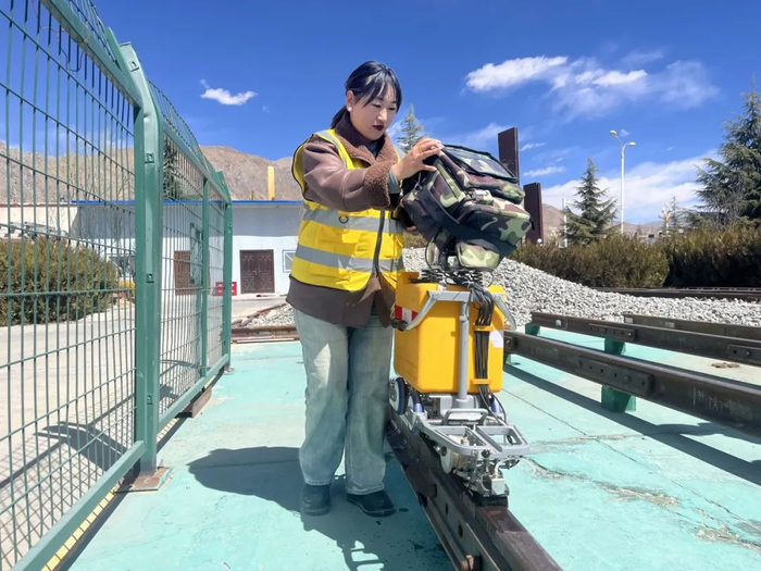 青春相框守护天路的格桑花