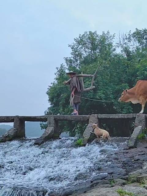 入眸锦绣画中仙.白云飘绕雾隐天,农夫牵牛石桥过,聆听流水凑琴弦