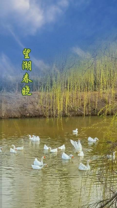 日照望湖春晓春风拂面宜人