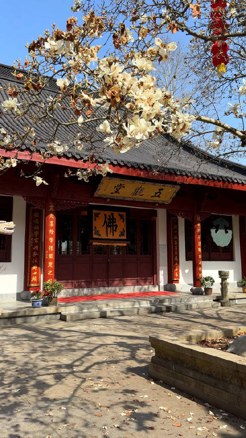 法喜寺草色浮新翠山容洗旧埃