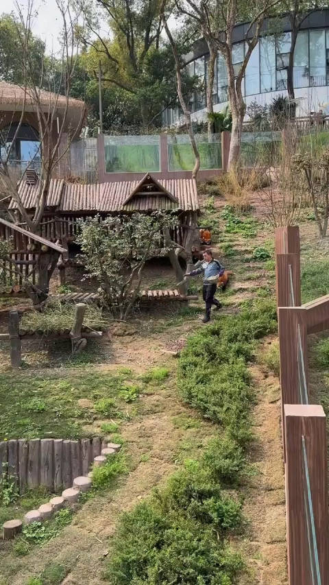羡慕重庆动物园的饲养员