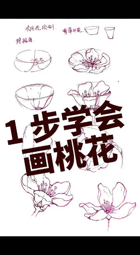 桃花如何画 简单图片