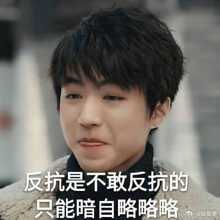 好好好 凯凯你的表情包我速速用上|浑身是胆|表情包_新浪新闻