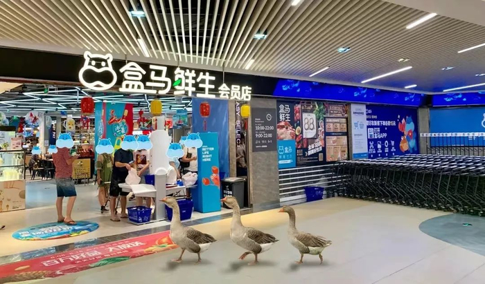 阿里出售盒马?|退休|盒马|侯毅_新浪新闻