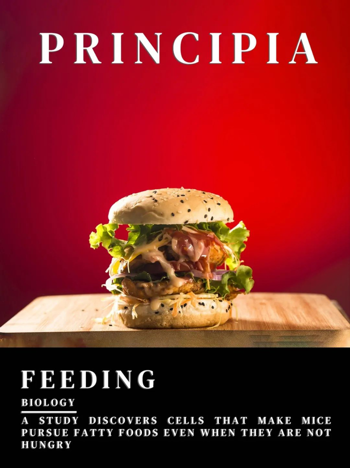 为什么吃饱后还是忍不住想继续吃