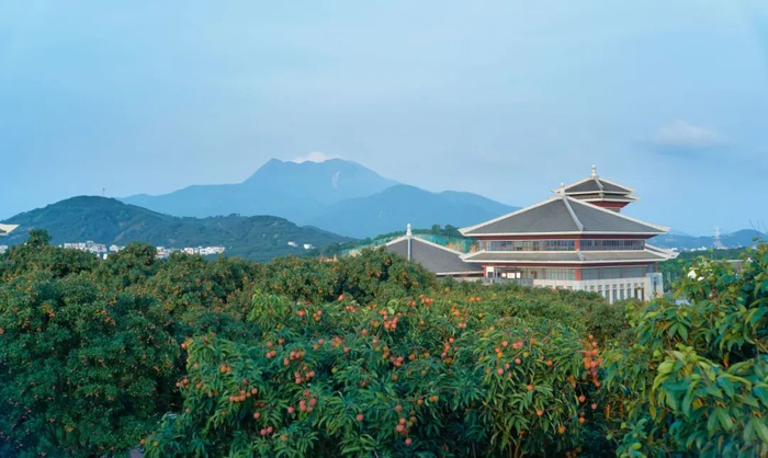 高州仙人洞景区位于大田顶南麓,是广东省休闲农业和乡村旅游示范点
