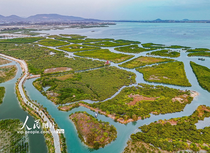 海南陵水:湿地公园春景美
