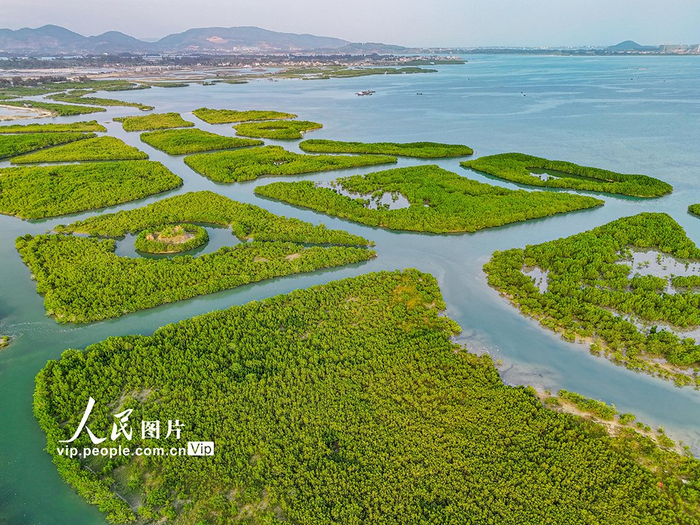 海南陵水湿地公园春景美