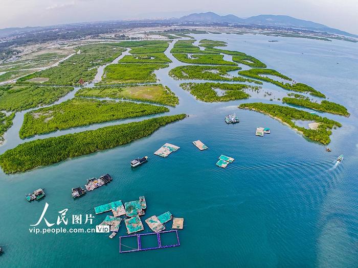 陵县湿地公园图片