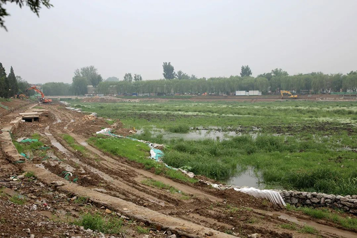 改造前的罗马湖。（郑朝全摄）