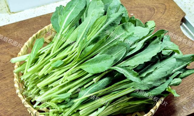 板蓝根青菜,也叫菘蓝,大青叶,是一种新兴的蔬菜,兼具丰富的营养价值和