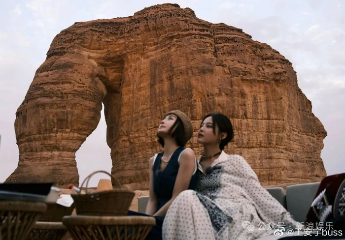 过去一年ta捧红了多少人