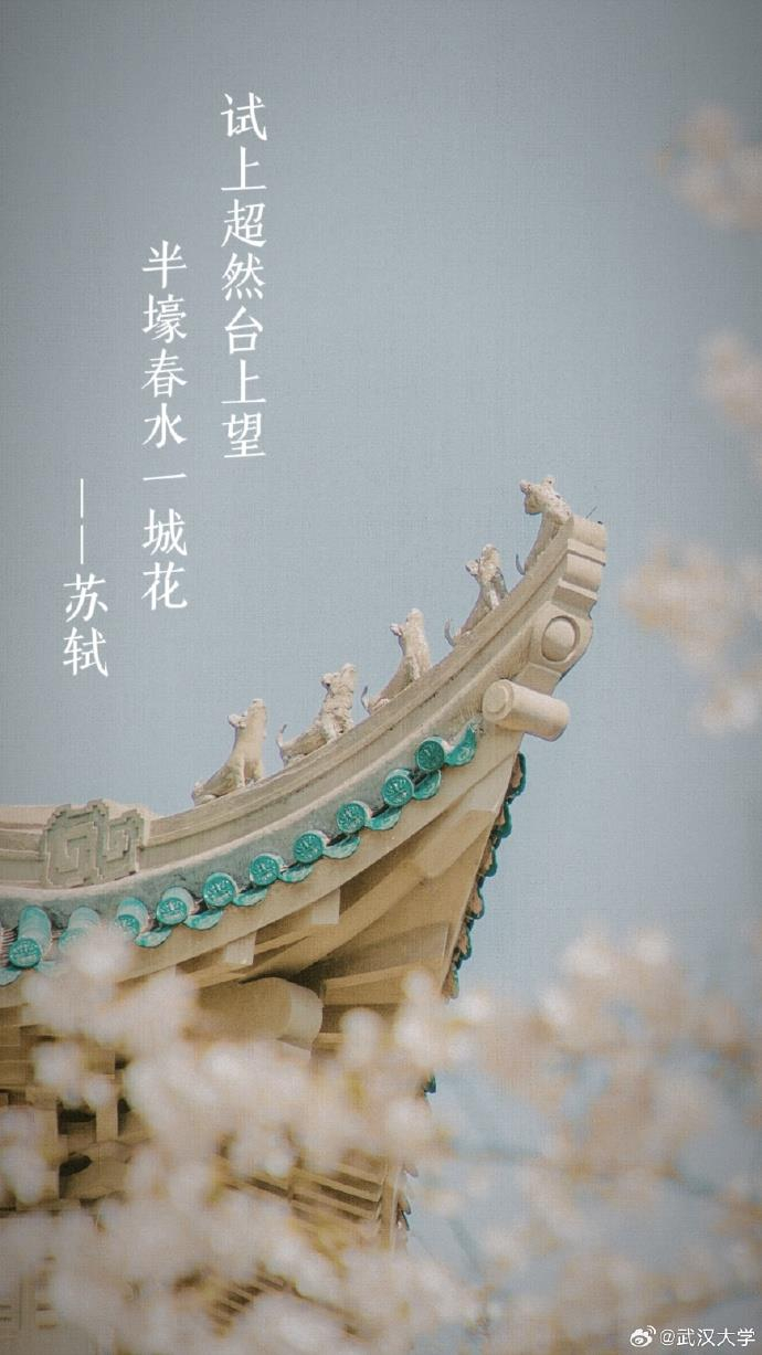 樱花碰上古诗词 唯美春日壁纸上新了|读书|武大|珞珈山_新浪新闻