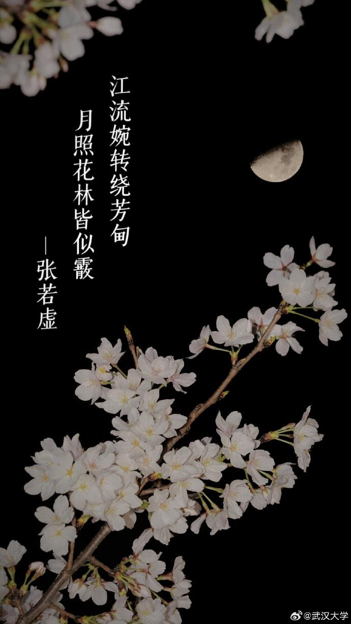 小编为你准备了兼具诗词与樱花之美的壁纸,收藏起来吧~(来源:武汉大学