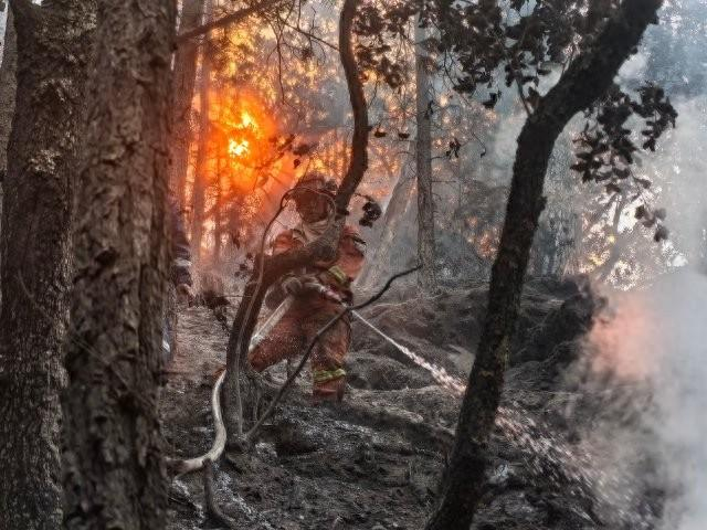 火场故事123424人全了都在