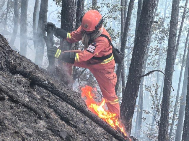 火场故事123424人全了都在