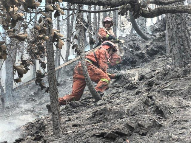 "人全了,都在!|火场_新浪新闻