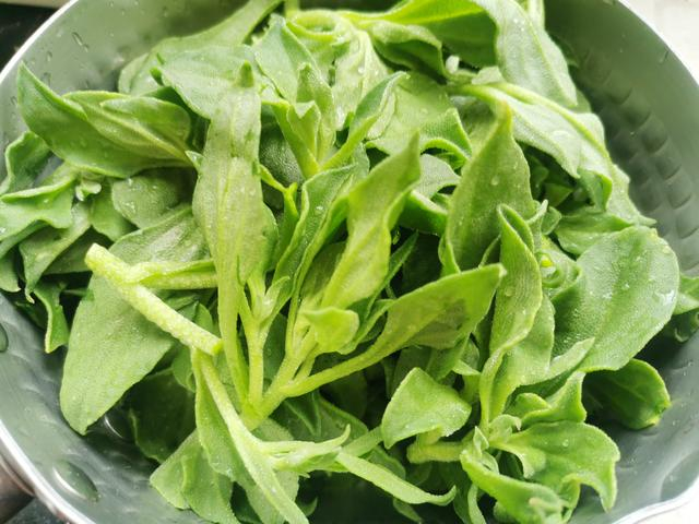 春日去肝火遇到这菜别手软随手一拌脆嫩多汁减脂人最爱