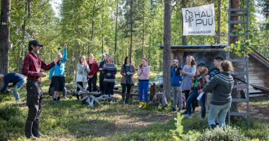 哈利普森林的“抱树大赛”。图片来源：HALIPUU