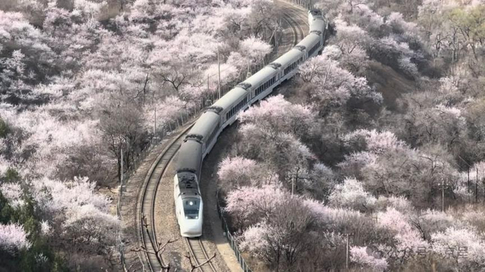等待5个多小时终于拍到开往春天的列车浪漫相汇