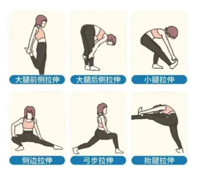 运动结束后整理放松,然后进行肌肉拉伸.