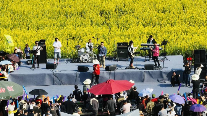菜花田里听音乐 共赴浪漫春之约