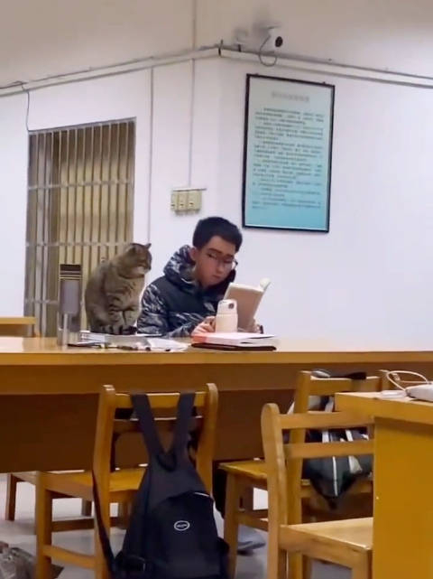 猫猫学长的每日督学cr快乐终结者