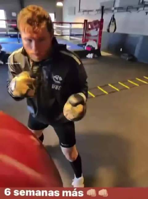 第一人称视角看红王卡内罗阿瓦雷兹caneloalvarez打沙袋vlog超话创作