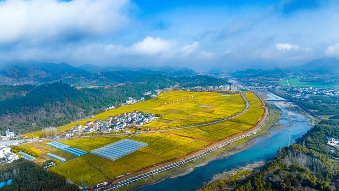 游园|河桥镇|浙西_新浪新闻