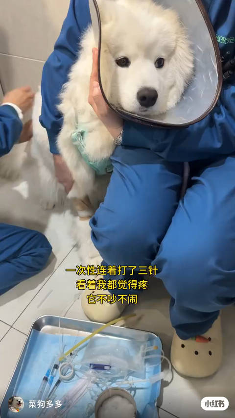 打针抽血都不哭不闹的又乖又可爱的耶耶