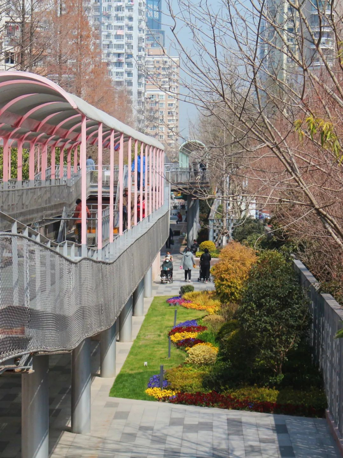 在曹杨漫步,拍下了100张舍不得删的照片……|曹杨_新浪新闻