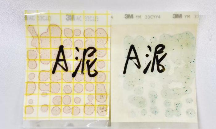 图片来源：研究所视频截图