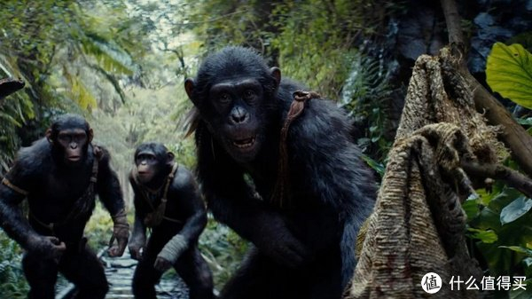 猩球崛起4:新世界 kingdom of the planet of the apes