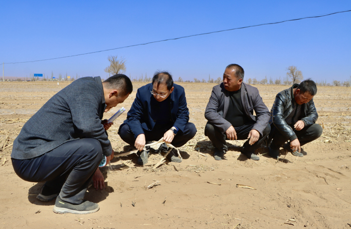 定边追赶春光绘就现代春耕备耕图