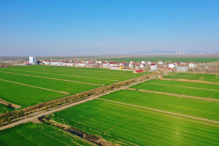 中雨海区阵风8到9级