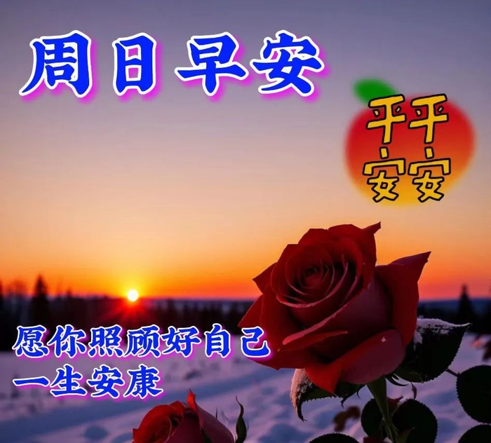 2024年3月24日最新早上好祝福语图片大全唯美早安温馨问候集锦