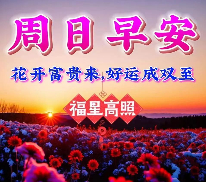 2024年3月24日最新早上好祝福语图片大全唯美早安温馨问候集锦