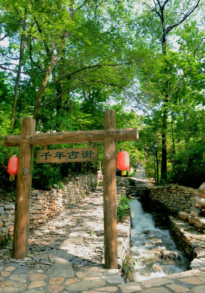 直达17家热门景点|淄博师专|正觉寺|发车_新浪新闻