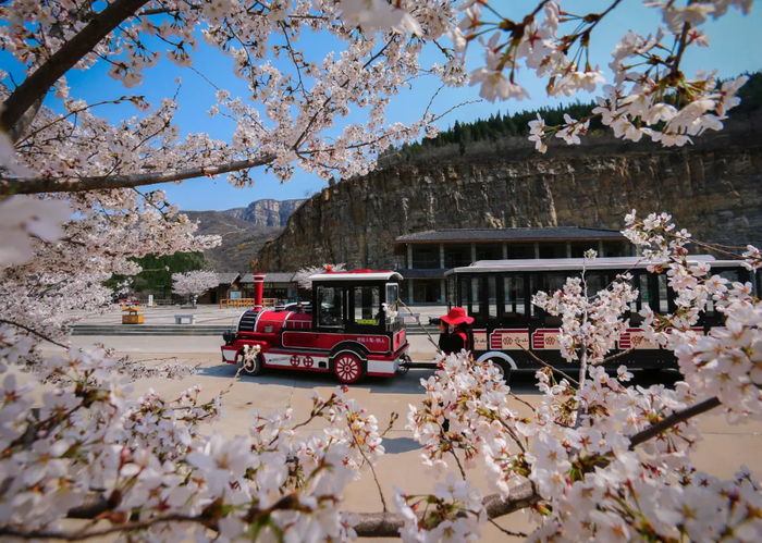 06桓台-齐山途经站点:惠仟佳,信誉楼,山东工业职业学院,齐山风景区